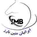 شرکت ایرانیان متین بارز شرکت ایرانیان متین بارز